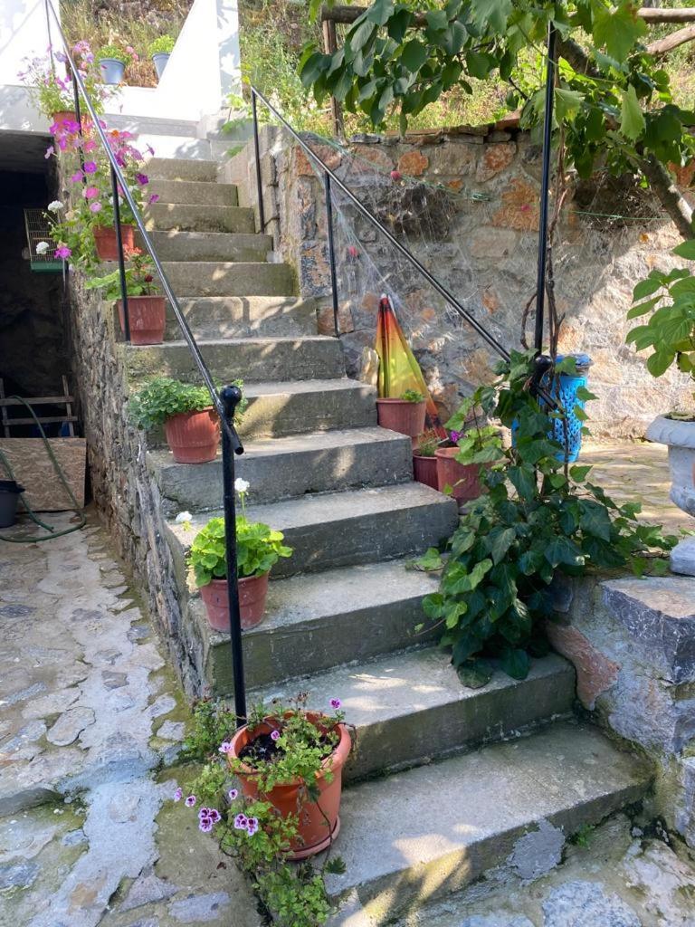 Roleo Guest House Lini Εξωτερικό φωτογραφία