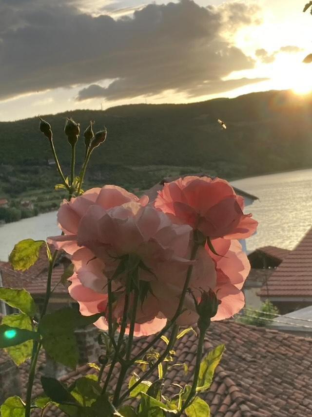 Roleo Guest House Lini Εξωτερικό φωτογραφία